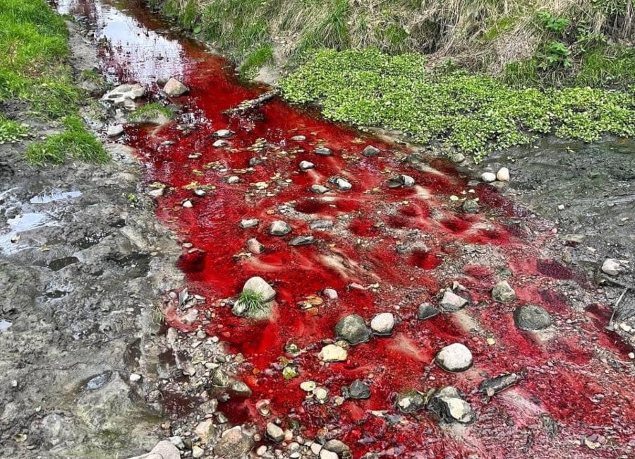 Łódź: Przerażający widok na Widzewie. Rzeką płynęła czerwona woda