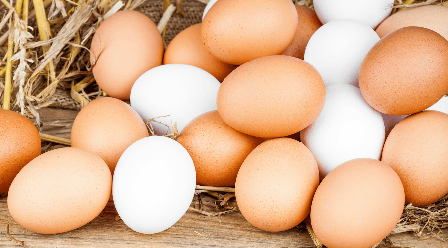 Czy wegetarianie jedzą jajka? 