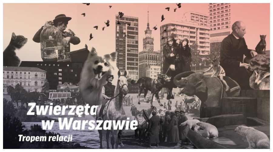 Zwierzęta w Warszawie. Tropem relacji