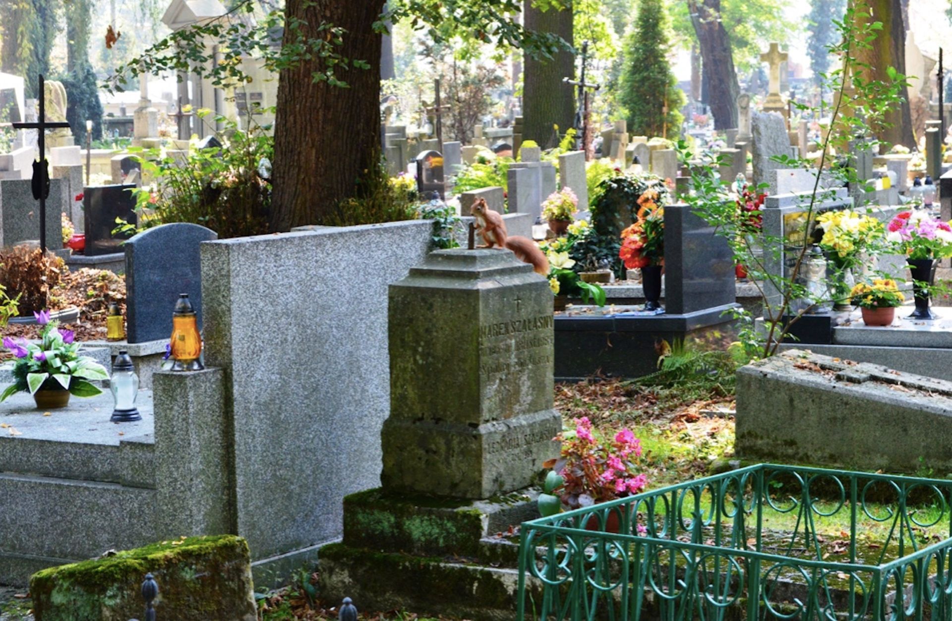 Gniezno: poszła na grób swojej matki, ale nie znalazła nagrobku