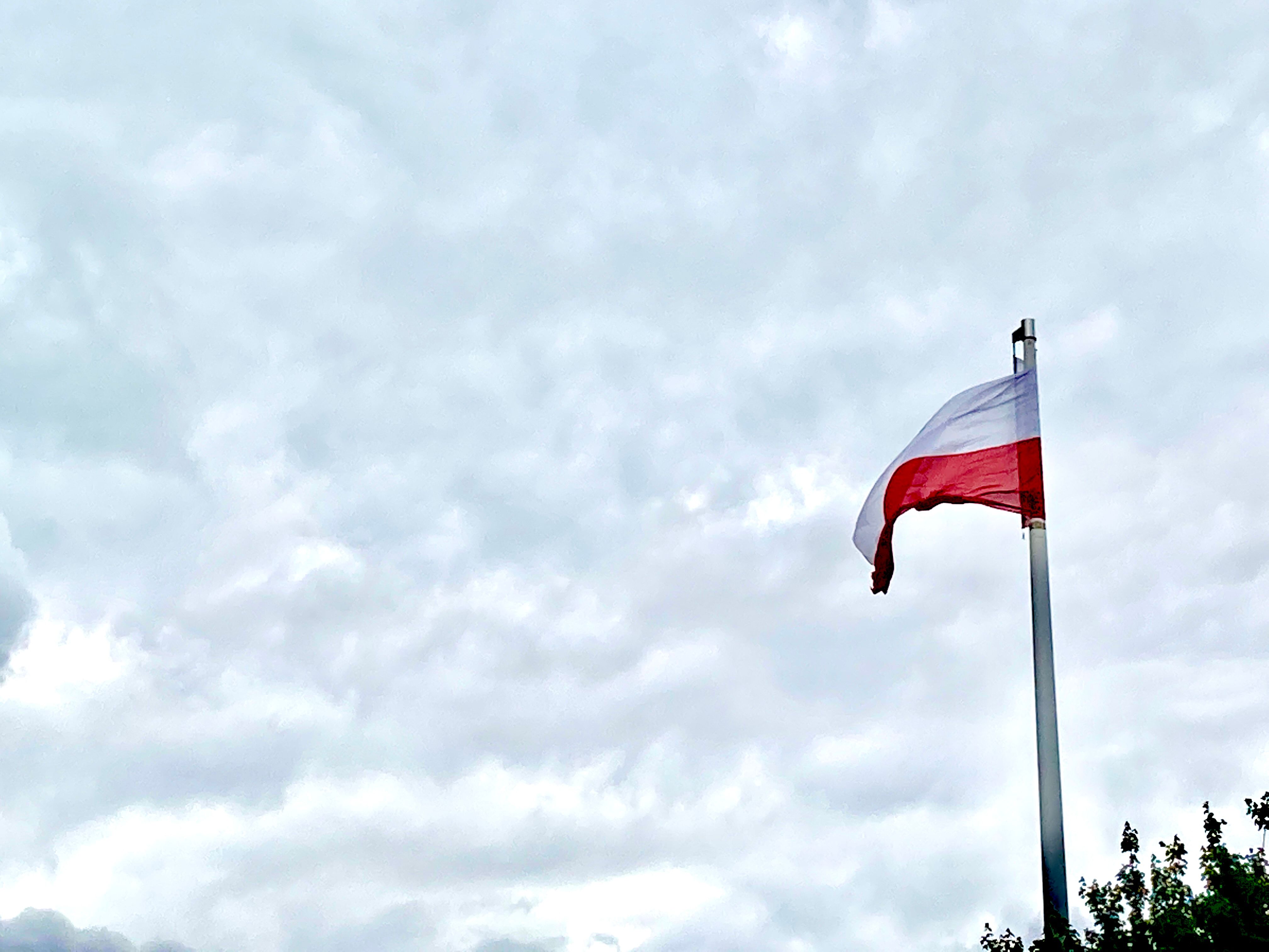 polska flaga-biznesinfo