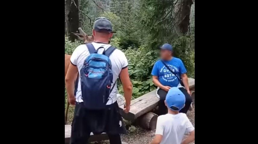 Bez tytułu