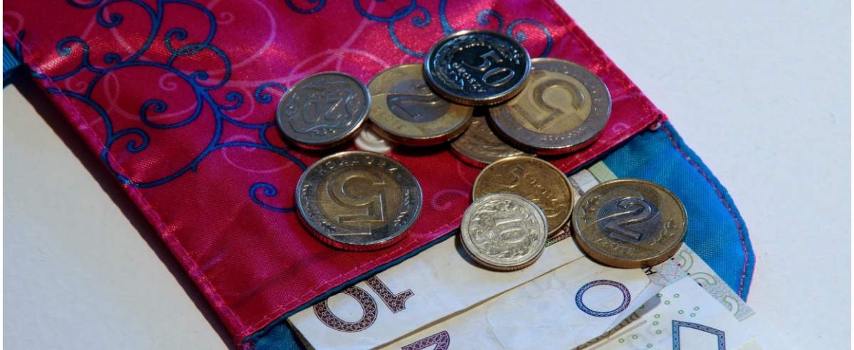 PHOTO: ZOFIA I MAREK BAZAK / EAST NEWS Pieniadze, banknoty i monety, portmonetka