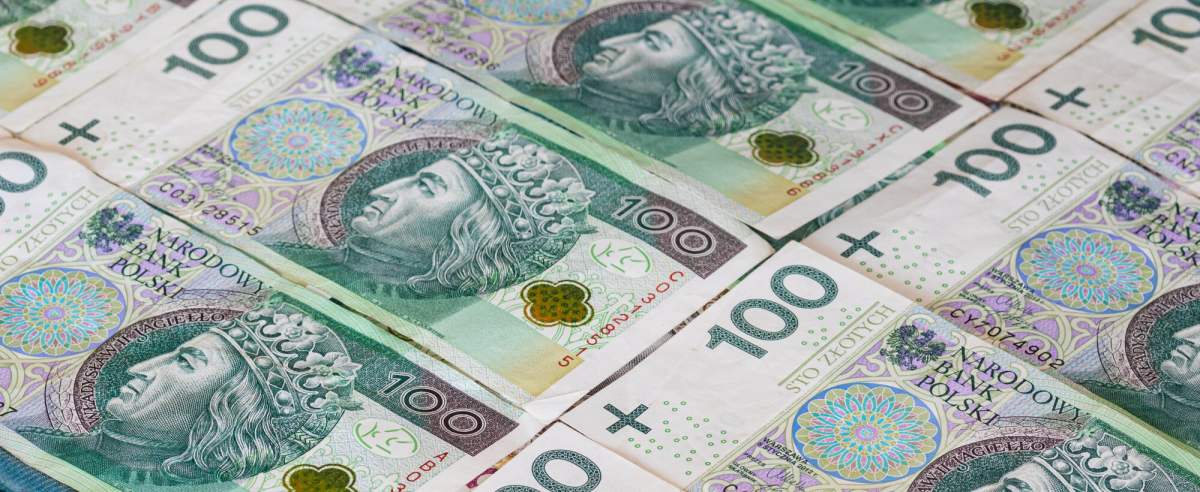 Fot: Arkadiusz Ziolek/ East News. N/z ulozone polskie banknoty 100 zl.