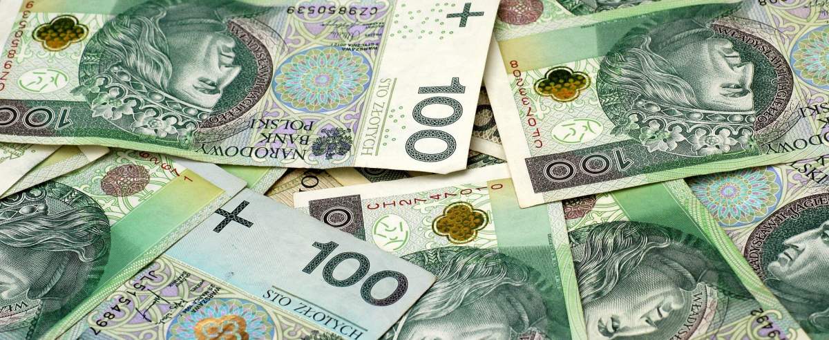 Zasiłek stały, okresowy i celowy