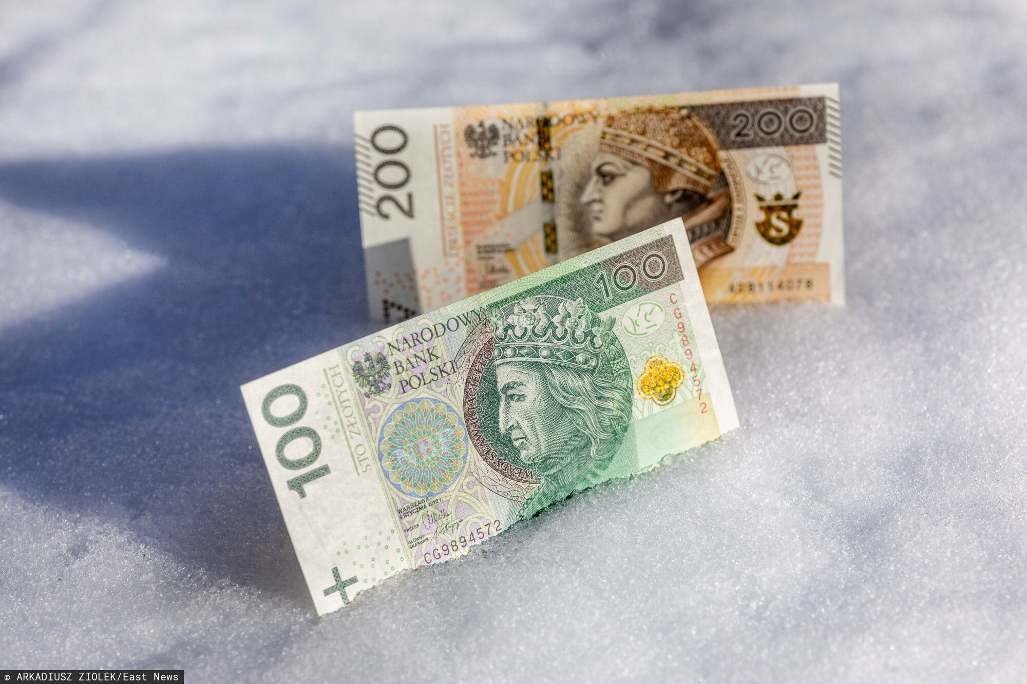 fot: Arkadiusz Ziolek/ East News. n/z Polskie banknoty w sniegu.