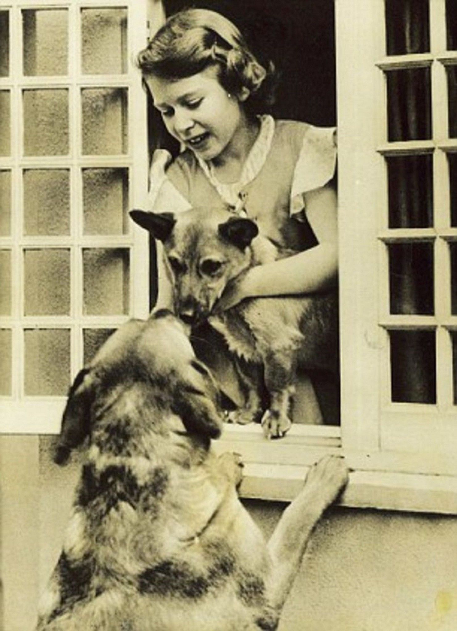 Była wielką fanką psów rasy Corgi