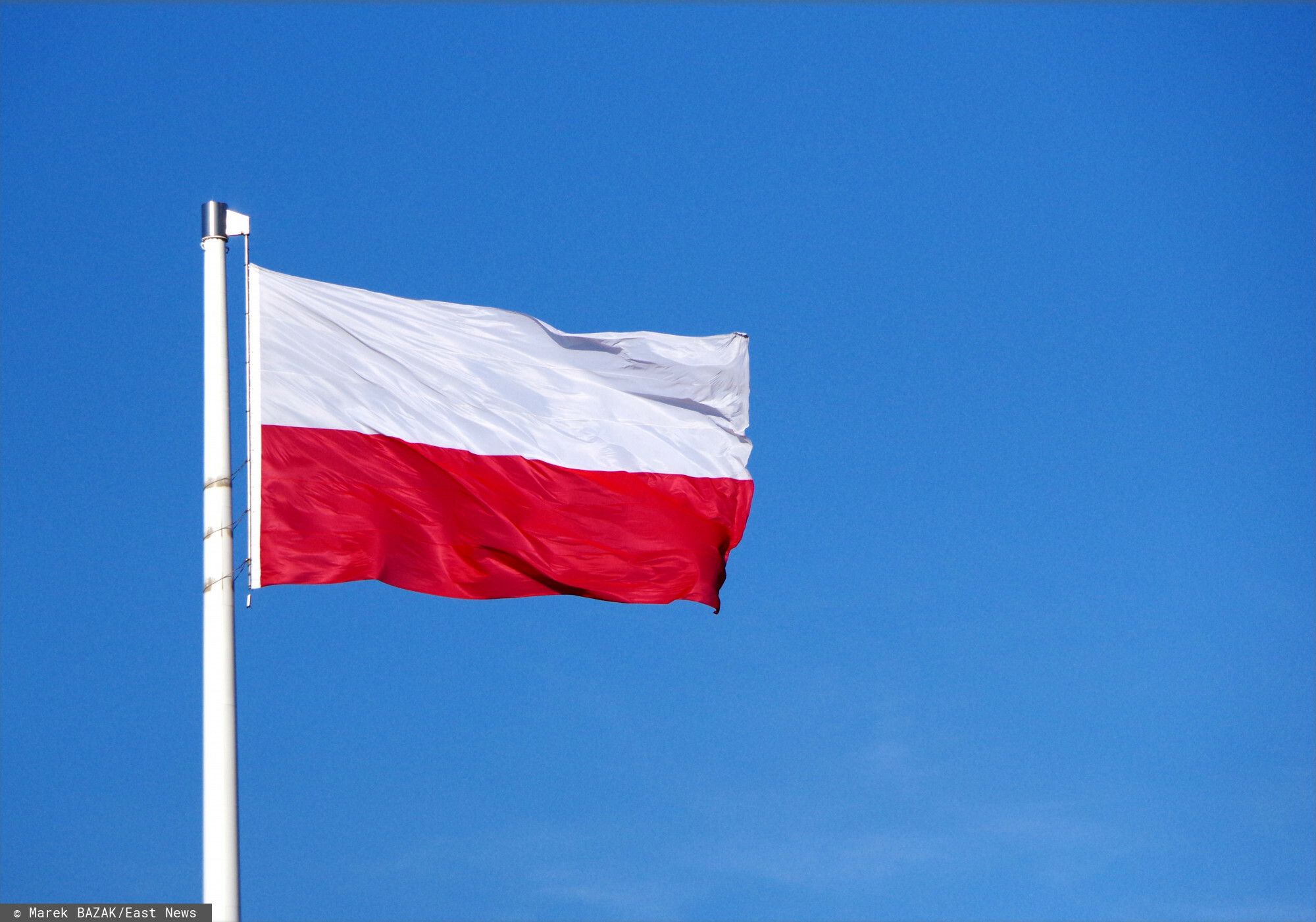 Jesteśmy unijnym liderem pod względem produkcji malin