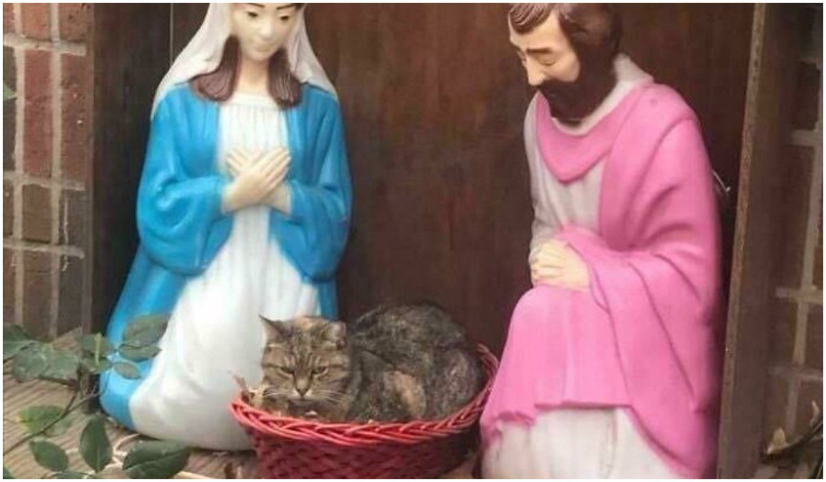 jezus
