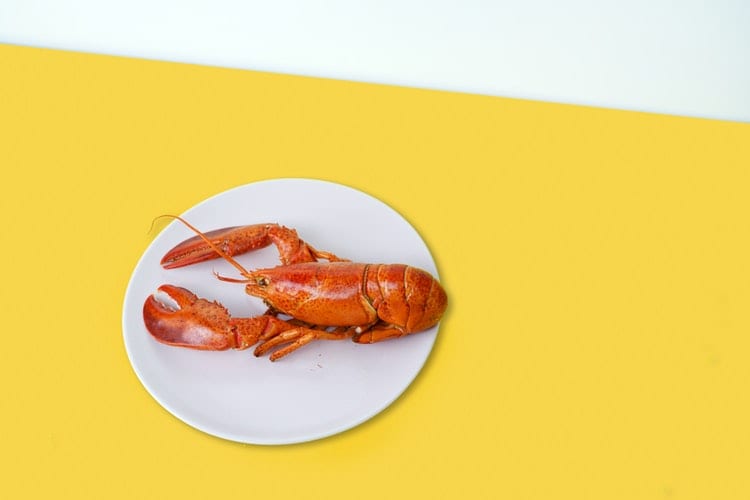 Jak jeść homara?