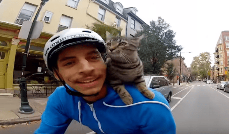 rowerzysta