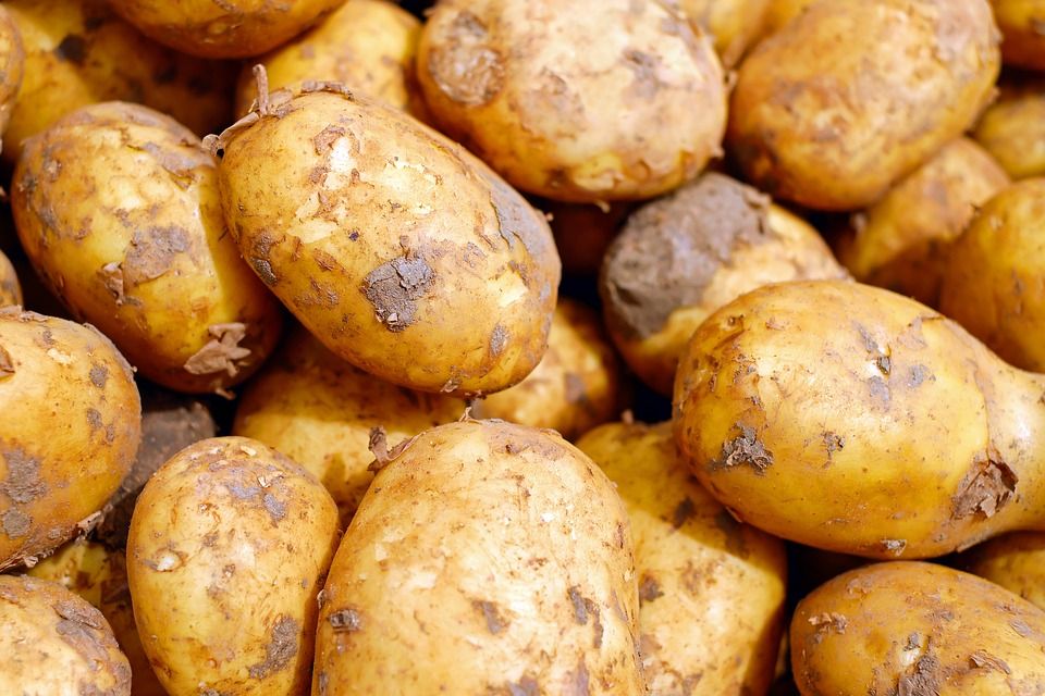 ziemniaki